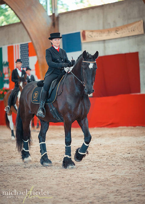 Balade randonnées à Cheval en Ariège